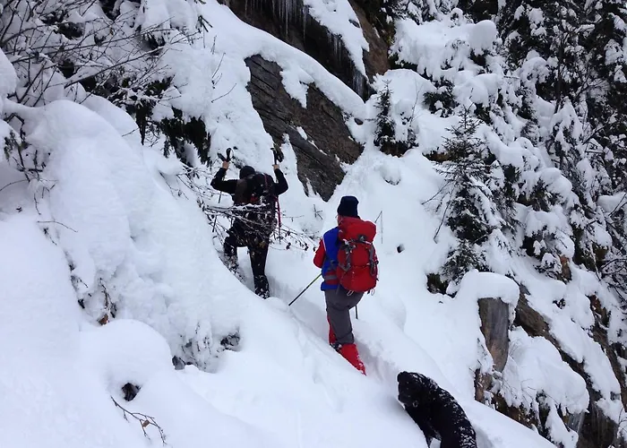 Zerres Hotel Partenen